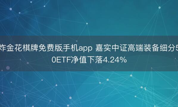 炸金花棋牌免费版手机app 嘉实中证高端装备细分50ETF净值下落4.24%