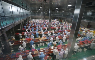江西彭泽县小龙虾致富范本:从0基础到京东618销售额过百万