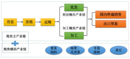 海洋“软黄金”-鲍鱼的产业分析及其养殖现状