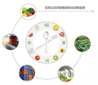 给农产品上“身份证”,建立可追溯体系,砚山县正准备这么干