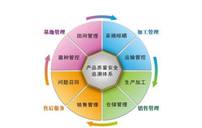 产品追溯系统 关键开发企业与系统构建方法