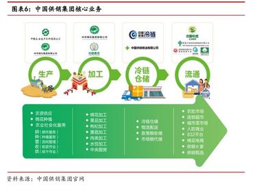 公告提示多重风险!供销社概念龙头八连板,产品流通服务引关注