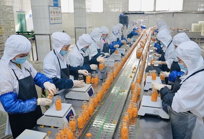 以果蔬加工为引擎，构建农企双赢的产品流通新生态