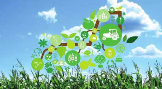 政策赋能资本下乡，电商畅通产品流通——乡村富民产业迎来发展新机遇